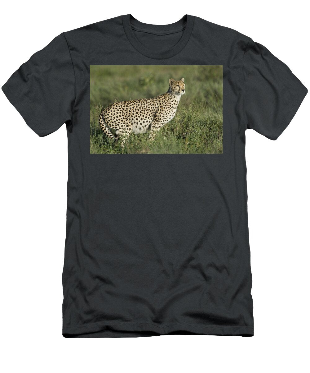 1 Pregnant Cheetah Acinonyx Jubatus Animal Images T-Shirt