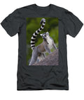 4 Ring Tailed Lemur Lemur Catta Portrait Pete Oxford T-Shirt