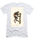 Black Indri Indri Niger 1797 Hand Coloured Copperplate Engraving Jean Baptiste Audebert T-Shirt