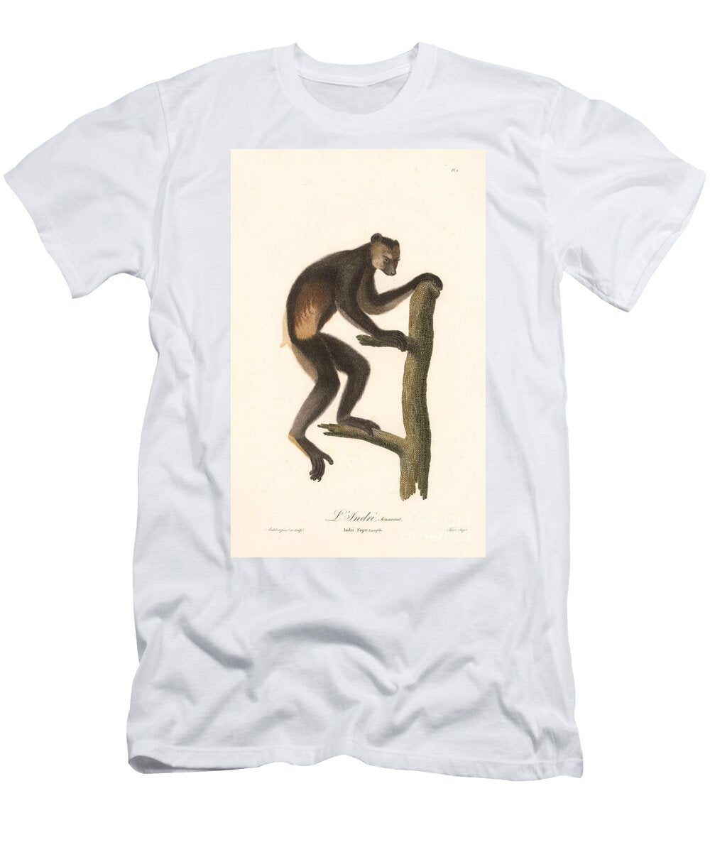 Black Indri Indri Niger 1797 Hand Coloured Copperplate Engraving Jean Baptiste Audebert T-Shirt