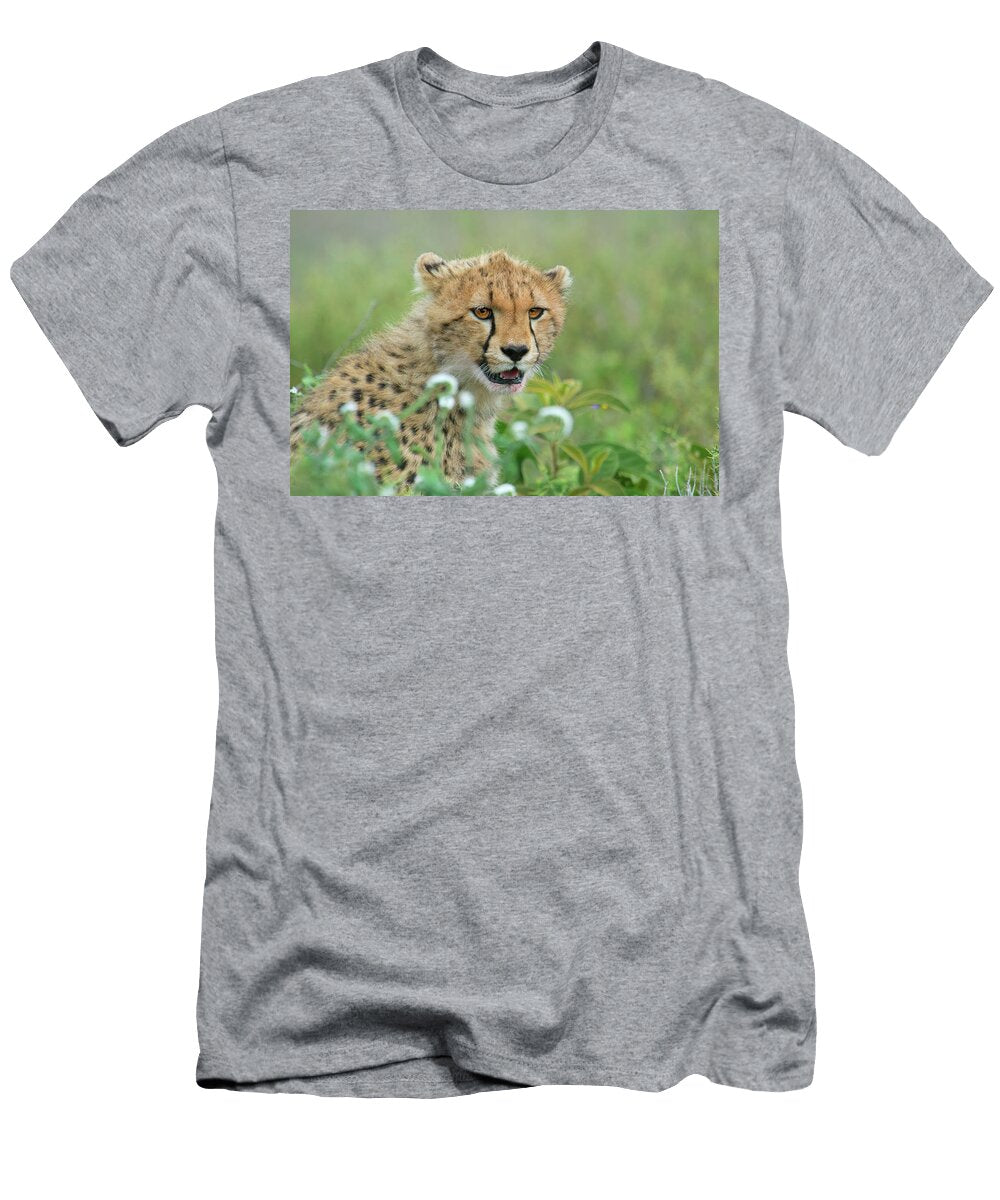Cheetah Acinonyx Jubatus Ndutu Animal Images T-Shirt