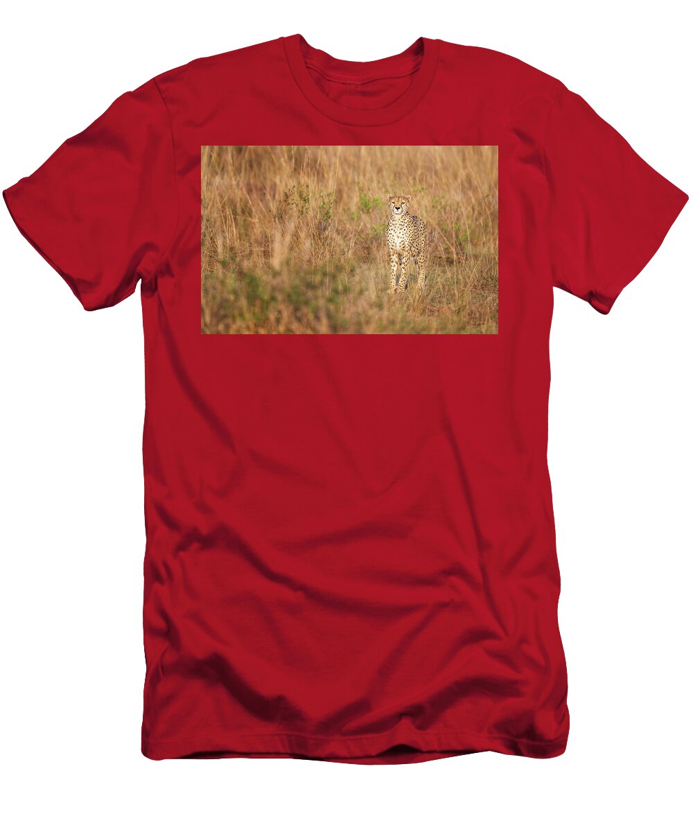 Cheetah in the Savanna Masai Mara Kenya Joan Carroll T-Shirt