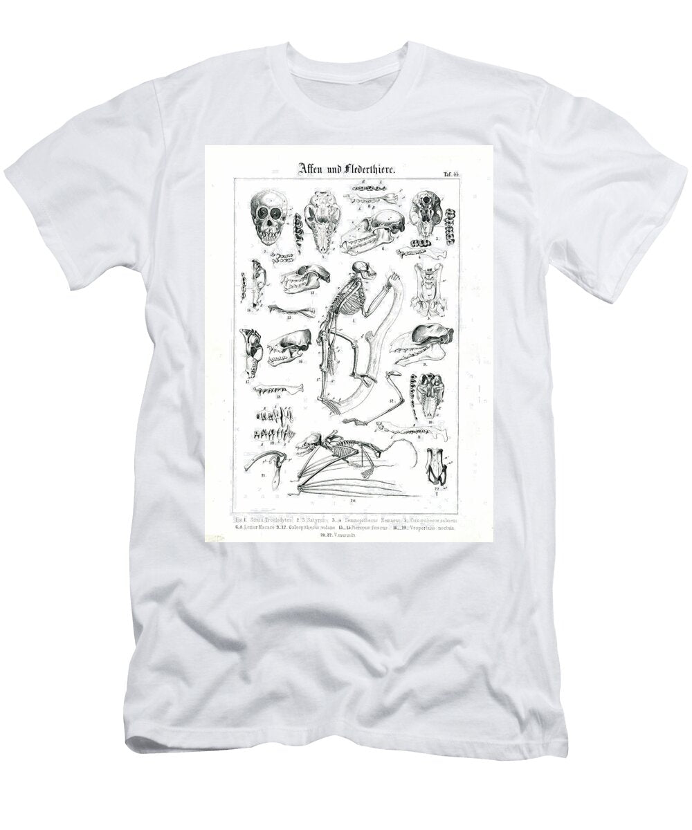 Comparative Anatomy of Primates and Bats 1851 Lithography C Roth T-Shirt