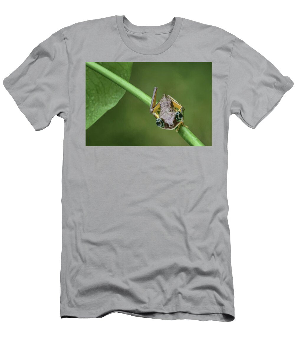 Lemur Tree Frog 1 Nikolyn Mcdonald T-Shirt
