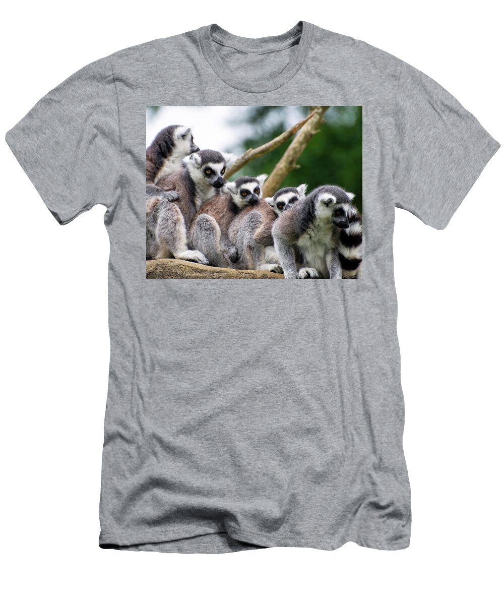 Lemurs Close Up Flees Photos T-Shirt