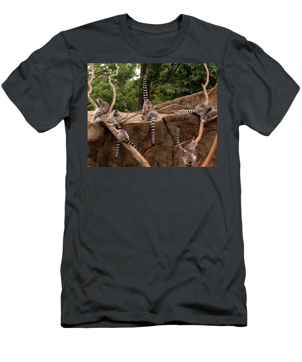 Lemurs Frolicking 001 Flees Photos T-Shirt
