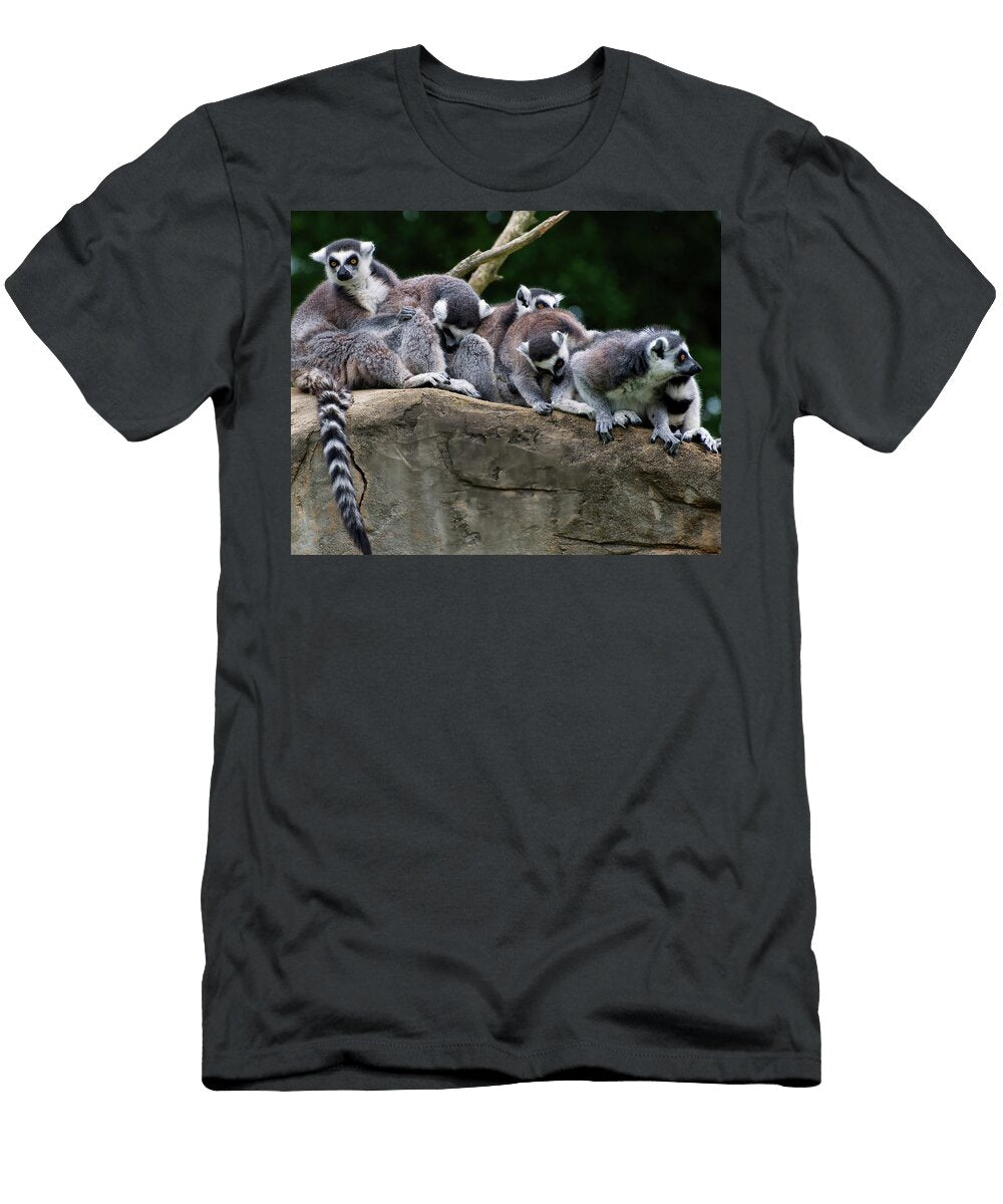 Lemurs on a Rock Flees Photos T-Shirt