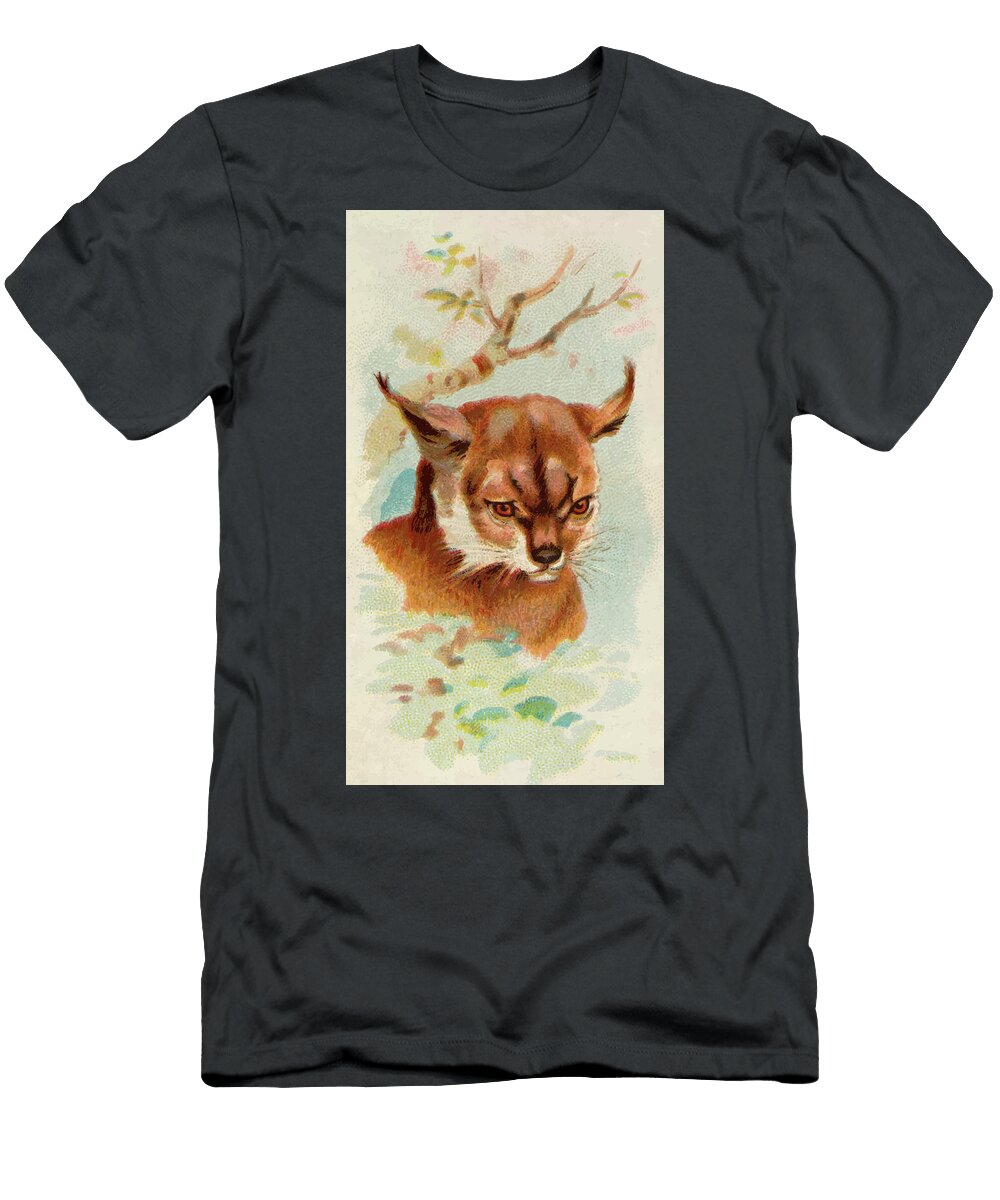 Lynx Vintage Animal Illustration Picked and Shared T-Shirt
