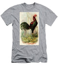 Malay Rooster Vintage Animal Illustration Picked and Shared T-Shirt