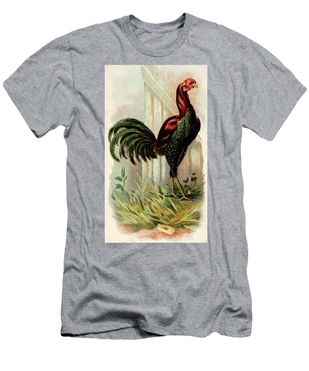 Malay Rooster Vintage Animal Illustration Picked and Shared T-Shirt
