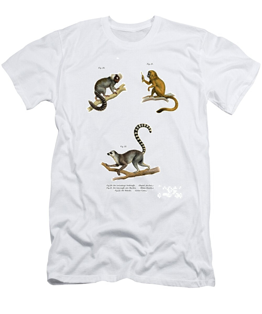 Marmoset 1860 German School T-Shirt