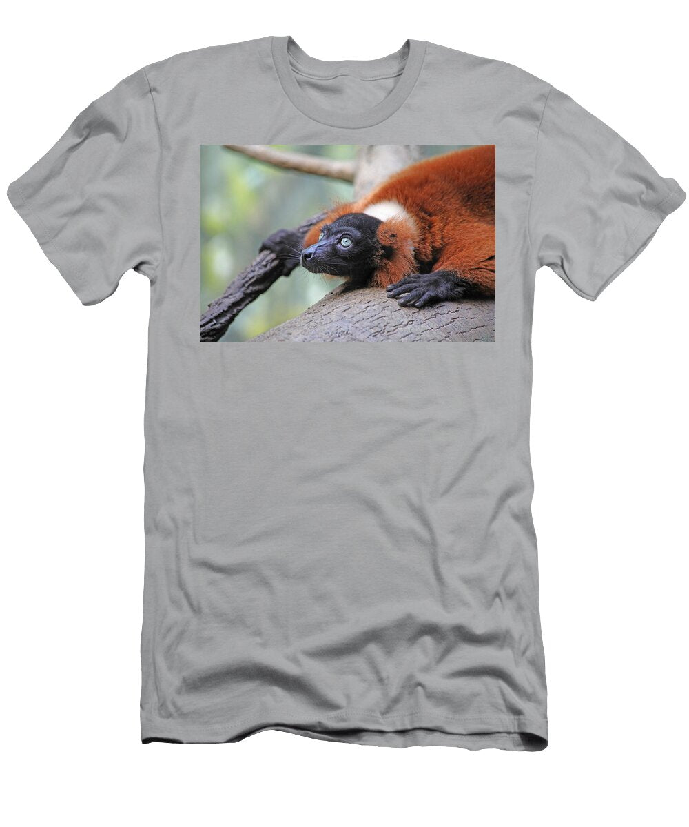 Red Ruffed Lemur Karol Livote T-Shirt