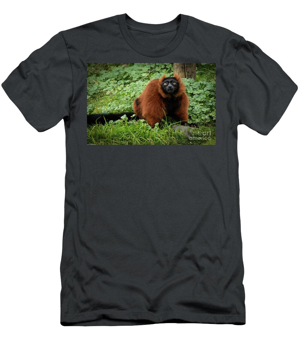 Red Ruffed Lemur Mitch Shindelbower T-Shirt