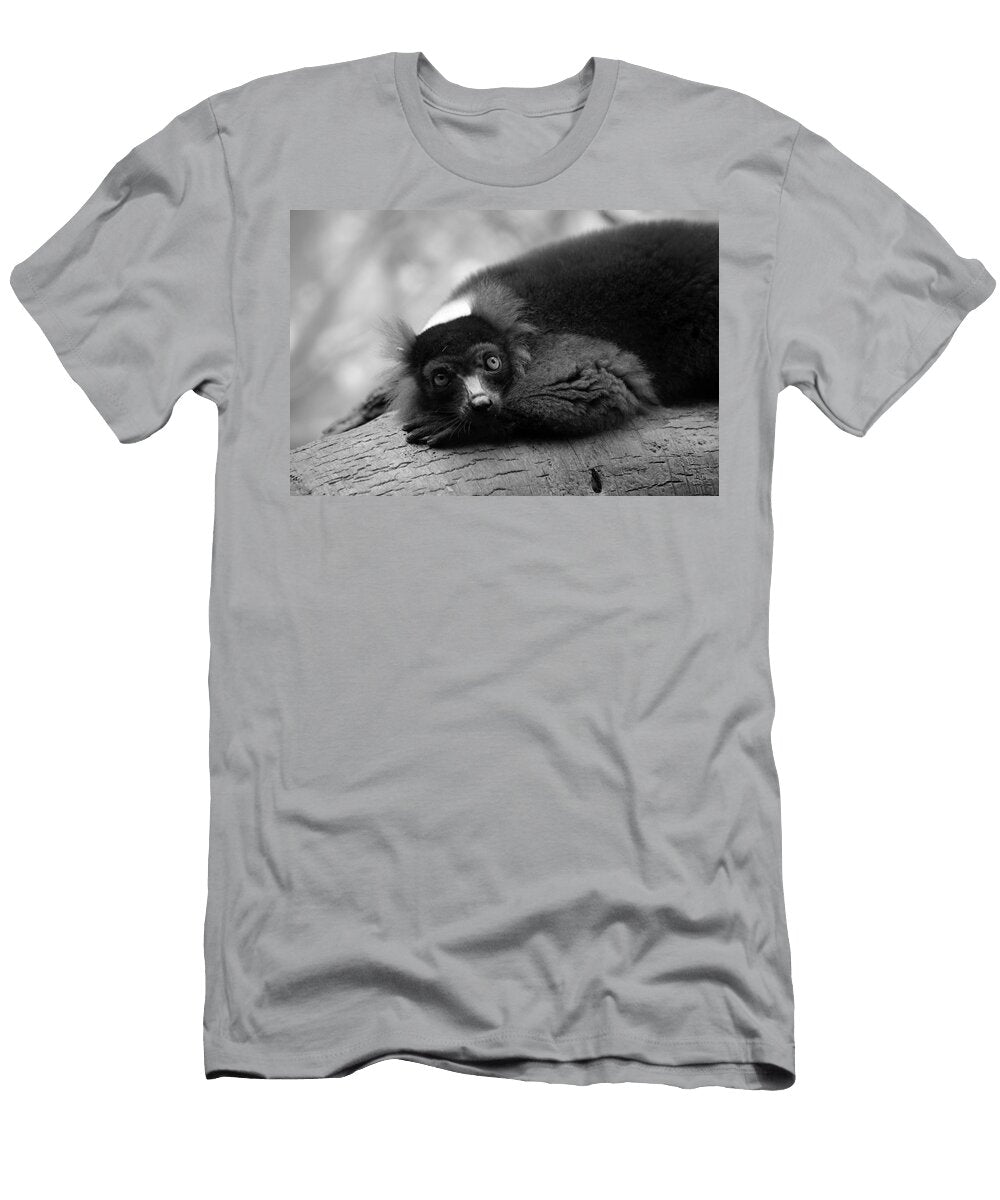 Resting Lemur Karol Livote T-Shirt