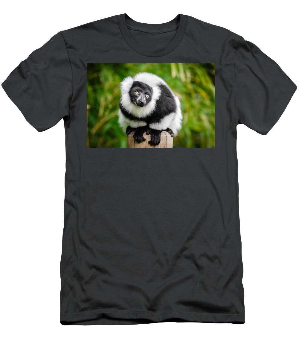 Ring Tailed Lemur Lemur Les Classics T-Shirt