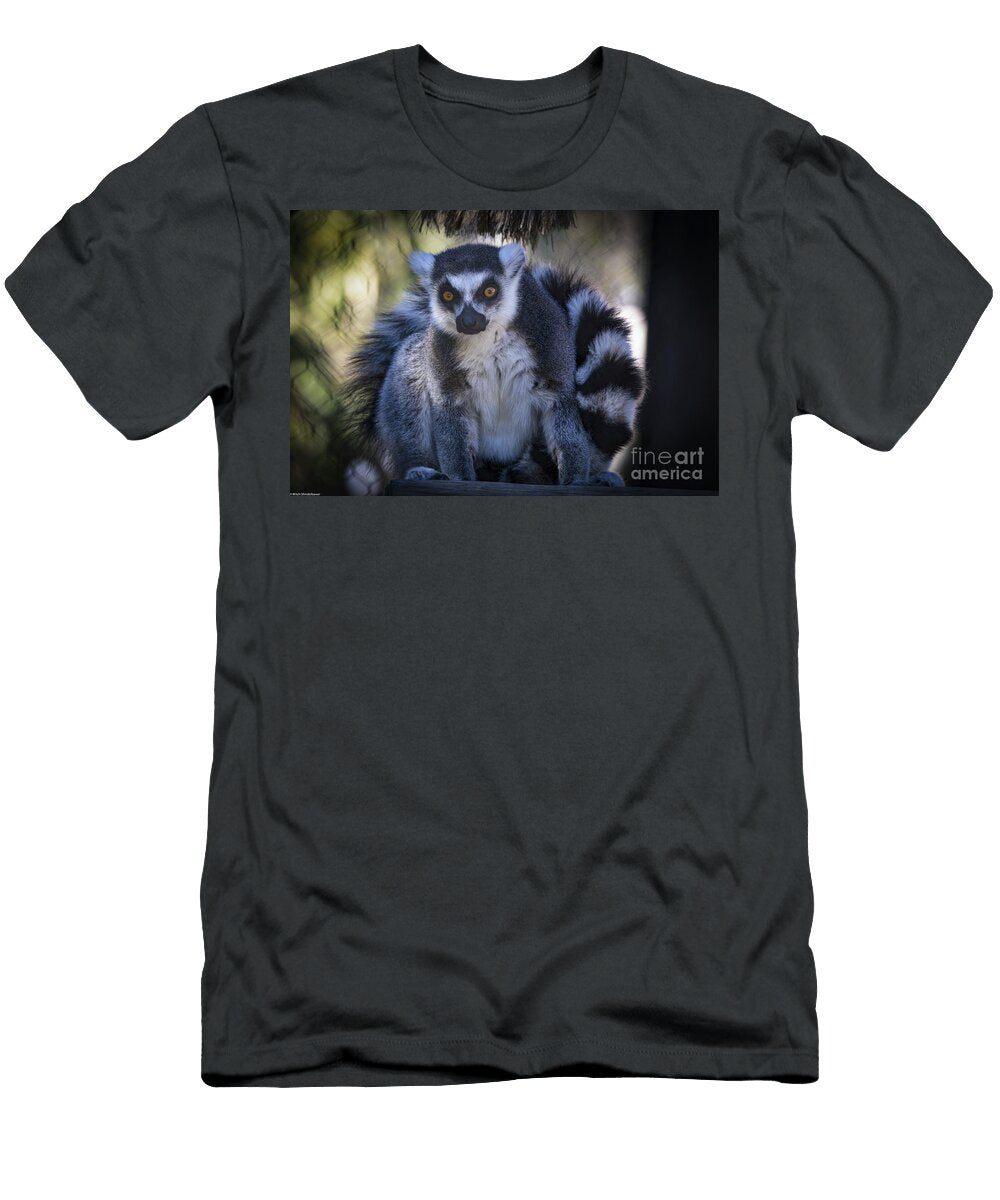 Ring Tailed Lemur Mitch Shindelbower T-Shirt