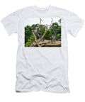 Ring Tailed Lemurs Playing Flees Photos T-Shirt