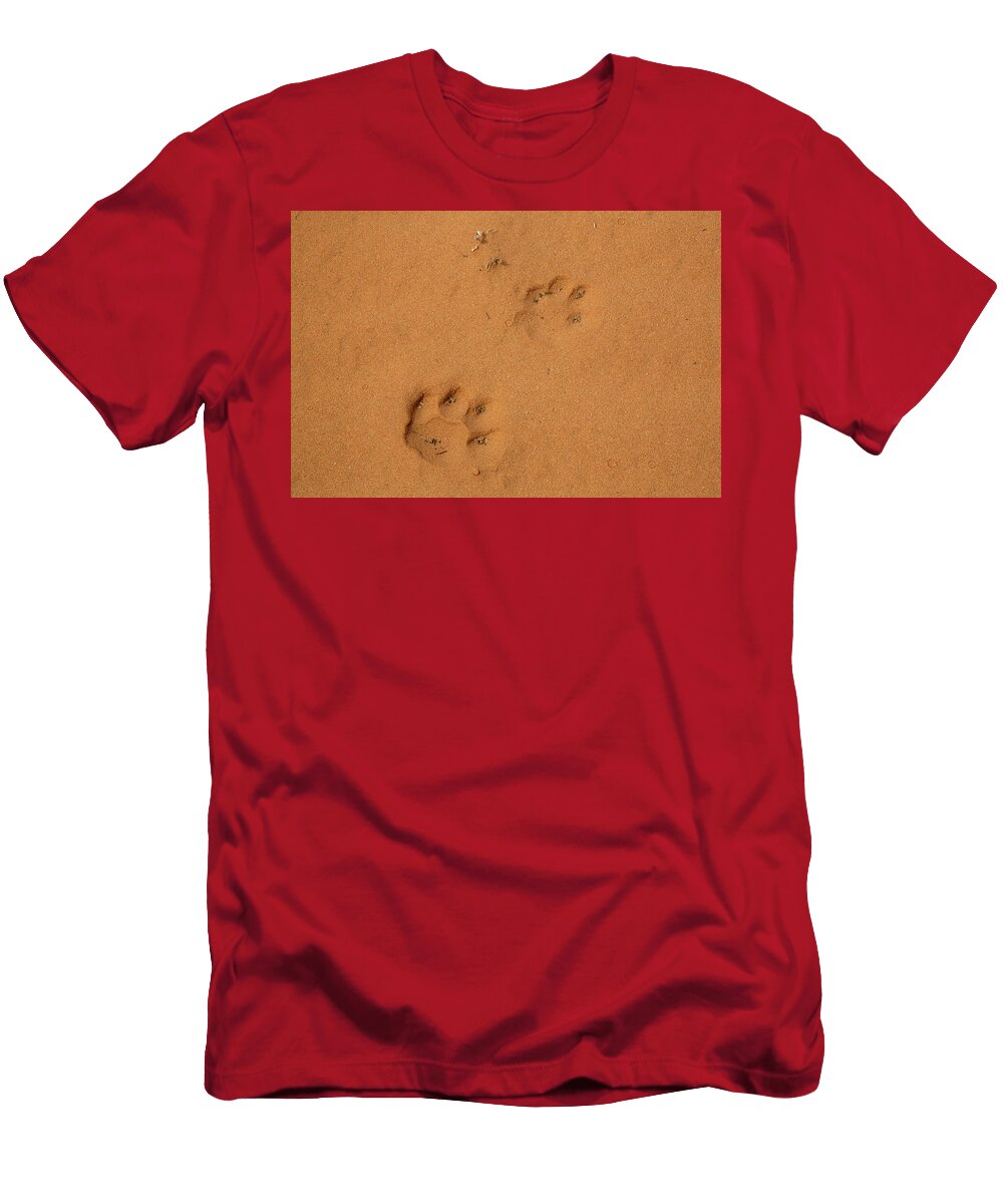 Spotted Hyena Tracks in Sand Kgalagadi Transfrontier Park Ann Steve Toon Natureplcom T-Shirt