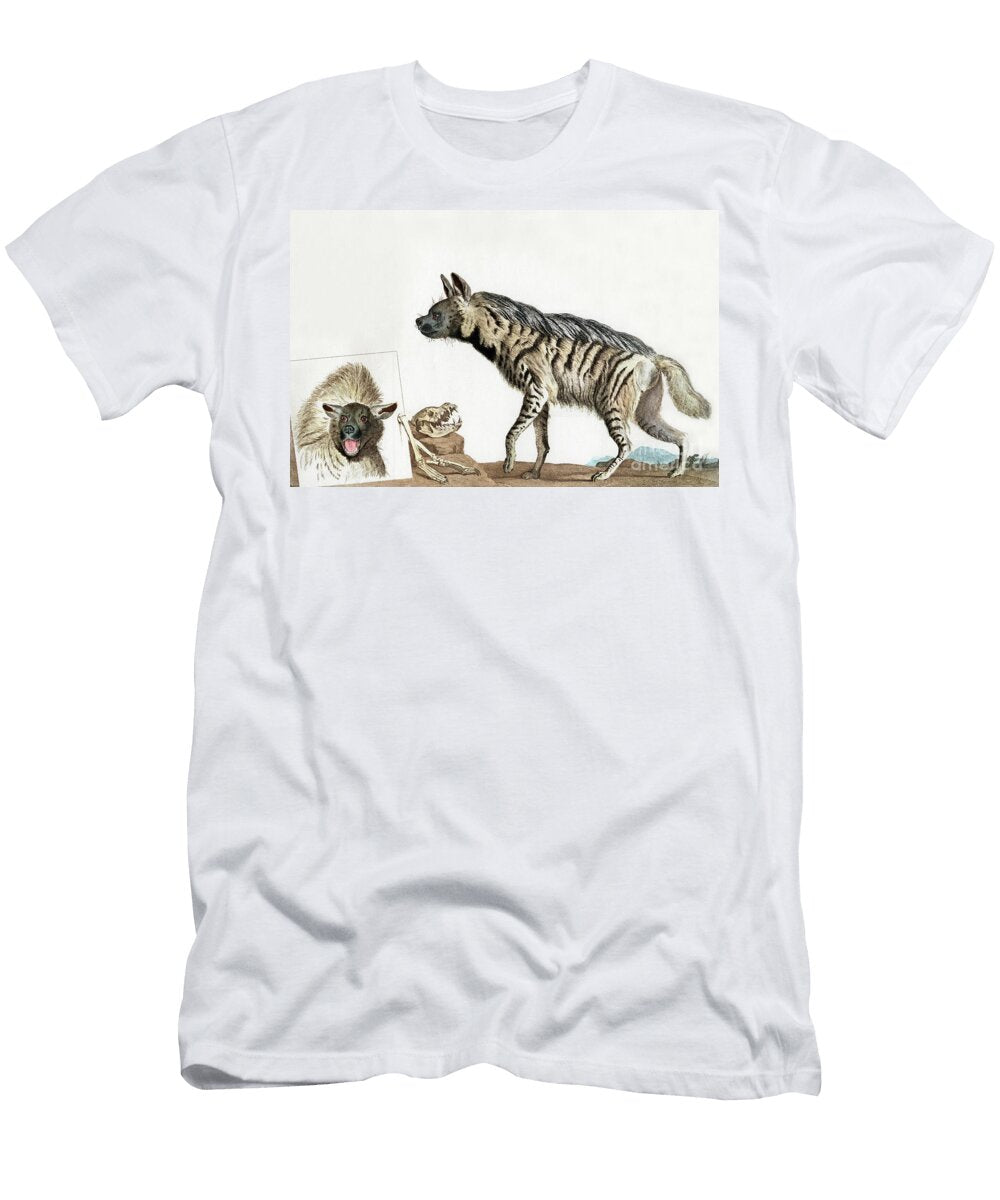 The Hyena From LA Menagerie Du Museum National Dhistoire Naturelle 1808 Engraving Unknown T-Shirt